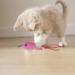 5Pcs Catnip Toy Set - Interactive Pink Fish & Feather Teaser for Kittens | Catnip Filled Plush Toys for Teething Chew Cat Wand Accessories - Buy Online on SooperMarket.com