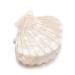 Shell Jaw Clip Hair Claw | Resin Hair Clips Marble Pattern Hair Accessories - White - Buy Online on SooperMarket.com