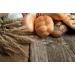 Organic Hulled Barley - Non-GMO, Grown in Rocky Mountains | Cache Harvest Co. Premium | 16 Ounces - Buy Online on SooperMarket.com