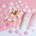 iFancer 3D Acrylic Flowers Nail Charms - Nail Art Design Supplies - Buy Online on SooperMarket.com