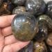 Natural Black Moonstone Palm Stone Raw Gemstone Crystal Full of Texture - Buy Online on SooperMarket.com