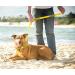 NERVOUS (Give Me Space) Yellow Colour Coded Non-Pull Dog Harness and 60cm 1.2m 1.8m Luxury Neoprene Padded Handle Lead Sets PREVENTS Accidents By Warning Others Of Your Dog In Advance (Harness & 1.8m) Harness & Long 1.8m/72inch Lead - Buy Online on SooperMarket.com