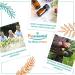 Puressentiel Essential Oils for Diffusion Respiratory Blend 30 ml (Pack of 1) - Buy Online on SooperMarket.com