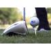FLIGHTPATH Premium Golf Tees - Enhance Shot Distance & Precision | Durable Plastic Tees | Reduce Ball Spin | USGA Approved - Buy Online on SooperMarket.com