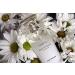 Yves Rocher Secret d Essences Neroli Eau de Parfum 50 ml - Buy Online on SooperMarket.com