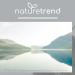 Buy NatureTrend Zeolite Powder 1.3kg - Premium Quality Natural Clean 94% Purity Extra Finely Ground Volcanic Stone - International Shipping Available - Buy Online on SooperMarket.com