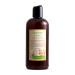 Just Nutritive Extreme Dry Hair Shampoo | Best Shampoo for Extremely Dry Hair | Restore Dry Damaged Hair | Deeply Nourishing | For Men And Women 16 fl oz