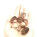 200g 20mm-30mm Polishing Gemstone Smoky Quartz Tumble Stones for ERTEYIN