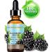 100% Pure Blackberry Seed Oil - Virgin Unrefined Cold Pressed Carrier Oil for Face Skin Hair | 0.5 Fl. oz - Buy Online on SooperMarket.com