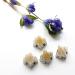Wazakura 4PCS Mini Ikebana Kenzan Flower Frog Set - Made in Japan, Japanese Floral Arranging Pin Holder - Brass, 1.25x1.18 (32mmx30mm) - Buy Online on SooperMarket.com
