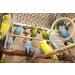 Bubimex Bird Cage Sand - Premium Quality for Clean and Healthy Birds - Buy Online on SooperMarket.com