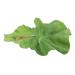 PLAFOPE Lettuce Hairpin Aesthetic Hair Clips Hair Clips Hair Accessories for Women Clips for Hair Alligator Hair Clips Hair Clips for Teen Cute Hair Accessories Small Hairpin