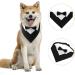 Dongker Dog Smoking Bandana Collar | Adjustable Wedding & Halloween Costumes for Small Medium Large Dogs | International Shipping - Buy Online on SooperMarket.com