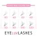 3D Pro-Made Fans on a strip speedy fans Pro Made Handmade Lash Fans Pointed Base Eyeluvlashes (D Curl 10mm length) - Buy Online on SooperMarket.com