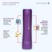 Avoka Naturals Satinique 2-in-1 Shampoo & Conditioner 250ml | Hydrating Hair Care - Buy Online on SooperMarket.com