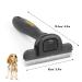 GloryPet 4 in 1 Professional Pet Grooming Kit: Brush, Deshedding Tool, Nail Clippers & Dematting Comb for Dogs/Cats - Long & Short Hair, Medium & Large Breeds (Black) - Buy Online on SooperMarket.com
