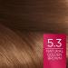 L'Oreal Paris Excellence 5.3 Golden Brown Hair Color - Pack of 3 | International Shipping Available - Buy Online on SooperMarket.com