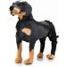 Pet Dog Knee Brace ACL Brace for Dogs Rear Leg Dog Braces for Back Leg for Support for Heals Prevents Injuries Sprains Black Large Large Black - Buy Online on SooperMarket.com