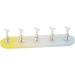 minkissy 4 Sets Nail Practice Holder Nail Display for Nail Painting Beauty Nail Stands Press on Nails Rack Beauty Nail Display Convenient Nail Stands Plastic Decorative Nails Accessories - Buy Online on SooperMarket.com