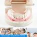 FEDBNET Sport Mouth Guards Clear Mouthguards Transparent Boxing Silicone Braces Dental Mouthguard Teeth Bruxism Grinding Eliminating Tightening Product - Buy Online on SooperMarket.com