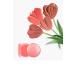 Stila Convertible Color Lip & Cheek Cream - Petunia 0.15oz | International Shipping Available - Buy Online on SooperMarket.com