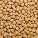 Wholefood Earth Organic Soya Beans 1kg - GMO Free, Vegan, High Fibre & Protein - Certified Organic - Buy Online on SooperMarket.com