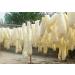 MAYMIIHOME 100% Natural Organic Loofahs 6 Pack - Exfoliating Spa Scrubber for Body Wash - Removes Dead Skin, Made with Organic Luffa - Buy Online on SooperMarket.com