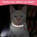 Shop Tagme Cat Neck Band 2-Pack | Reflective Safety Collar with ID Shield & Bell | Adjustable for Cats & Puppies | Pink 18-28 cm - Buy Online on SooperMarket.com