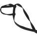 Buy Adjustable Bird Dishes & Leash for Parrots - PAPPAGIES-ACHRINE - Perfect for Gray Cockatoos & Black Cockatoos - International Shipping Available - Buy Online on SooperMarket.com