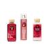 Bath & Body Works - Winter Candy Apple - Winter 2019 - Daily Trio - Shower Gel  Fine Fragrance Mist & Super Smooth Body Lotion