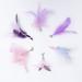 Jetczo Cat Wand Toy - Feather Replacements with Bells for Interactive Exercise - 6 Piece Set - Buy Online on SooperMarket.com
