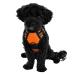 Dog harness for small and medium -sized dogs reflective made of nylon - anti -train dishes ideal for training units with puppies - breathable mesh upholstery (orange gr. M) m orange