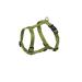 Nobby Harness Classic lime green Chest: 70/90 cm Width: 25 mm 1 piece lime green Length 70-90 cm Width 25 mm
