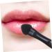 Buy NOLITOY 20pcs Makeup Brush Set - Eye Shadow & Lipstick Applicators | Black Makeup Sponges & Mini Brushes for Flawless Application - Perfect for New Year Celebrations - Buy Online on SooperMarket.com