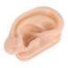 Piercing Practice Model: Soft Silicone Ear Simulation for Acupuncture Practice in Hospital Display - Buy Online on SooperMarket.com