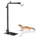 BrightArk Reptile Heat Lamp Holder Stand Adjustable Small Reptile Dome Lamp Bracket Standing Black 14-24 Inches Hanging Reptile Light Stand for Tortoise Lizards Bearded Dragon Snake Chick