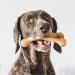 Benebone Wishbone Dog Chew Toy for Aggressive Chewers - Real Chicken Flavor | Large Size - International Shipping Available - Buy Online on SooperMarket.com