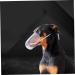Kisangel 2pcs Cat Muzzle Cat Dog Muzzles Cat Head Muzzle Transparent Muzzle Cat Pp - Buy Online on SooperMarket.com