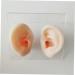 Silicone Ear Models for Practice - 1 Pair Ear Picking & Display Samples - Buy Online on SooperMarket.com