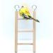 Small Wooden Bird Ladder Set - 3 Step & 4 Step | Cage Climbing Toy for Parrots - Birdie Basics - Buy Online on SooperMarket.com