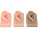 Flexible Reusable Right Ear Model for Piercing Training - Simulated Ear - Buy Online on SooperMarket.com