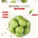 Green Plums 120g/Bag Sour and Sweet Crispy Small Plums Juicy Plums Snack Dried Prunes Dried Fruit Peach Preserved Fruit Snacks Food Office Desserts Vegan Chinese Casual Snacks Gift Pack (10bag) - Buy Online on SooperMarket.com