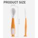 4PC Curved Baby Spoon Set - Lifine Bent Cutlery for Self-Feeding Toddlers | Ideal Baby Feeding Accessories - Buy Online on SooperMarket.com