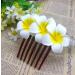 Flower Hair Comb Plumeria Head Piece for Women Girls Hawaiian Floral Hair Clips Pins Bride Bridesmaids Hair Accessories