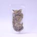 Duck Flower Detox: 2 Whole Dried Aristolochia Grandiflora Blossoms - Wildharvested Herb of Jamaica - Buy Online on SooperMarket.com