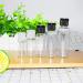 12 x 10ml Empty Plastic Bottles with Flip-Top Lid - Ideal for Softener Water Shower Gel & Emulsion - Black Lid - Buy Online on SooperMarket.com