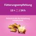 Whiskas Milk Kitten Snacks for 2-12 Months - 8x55g Treats for Healthy Growth | Functional Cat Snacks - International Shipping Available - Buy Online on SooperMarket.com
