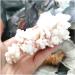 Rare Natural Raw Quartz Crystal Cluster Stones Crystal Point Specimen Home Decoration Raw Crystals Beautiful Gift (Size : 40-70g) - Buy Online on SooperMarket.com