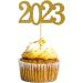 Knadgbft 48PCS 2023 Year Gold Graduation Cupcake Toppers 2023 Graduation Decorations Food Decor/Graduation Grad Cap Party/Mini Cake Decor Insert - Buy Online on SooperMarket.com