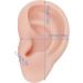 Flexible & Reusable Silicone Ear Model - 1 Pair Medium Skin Color for Ear Piercing Practice - Buy Online on SooperMarket.com